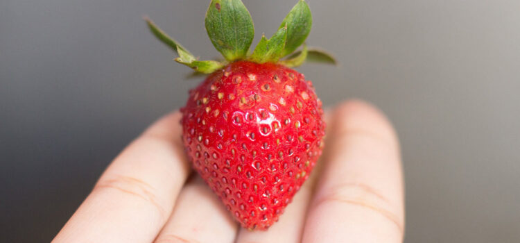 Smarter food choices 101 tips for the busy women